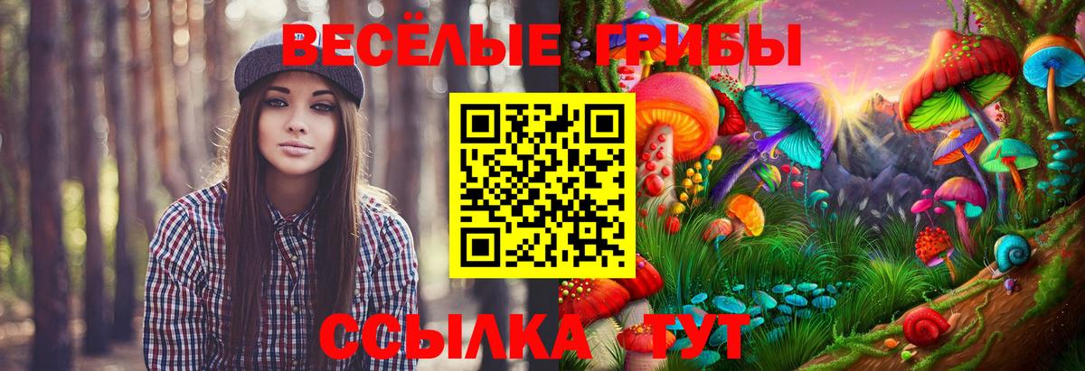 Галлюциногенные грибы мухоморы Воскресенск